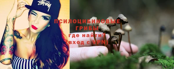 крисы Беломорск