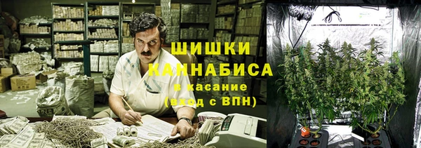 крисы Беломорск